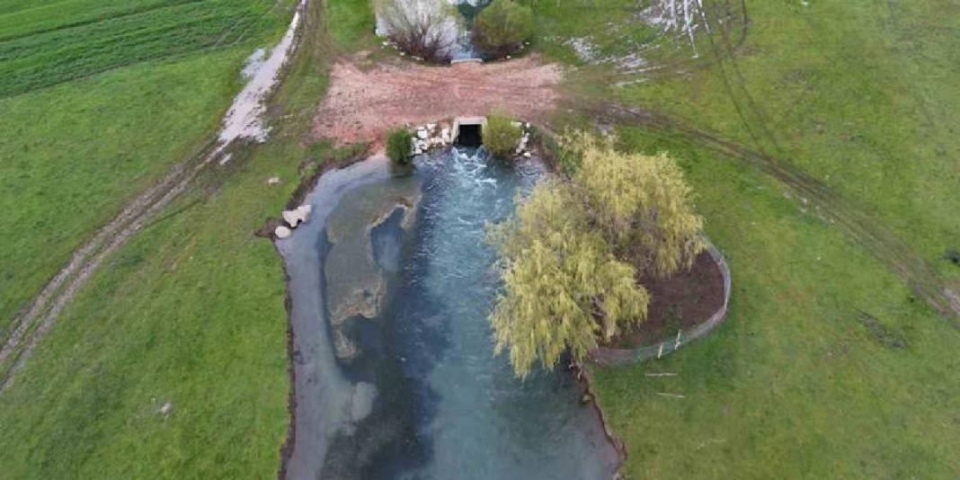 Tablo değil burası Konya: Baharla birlikte leyleklerin durağı yeşile büründü 3